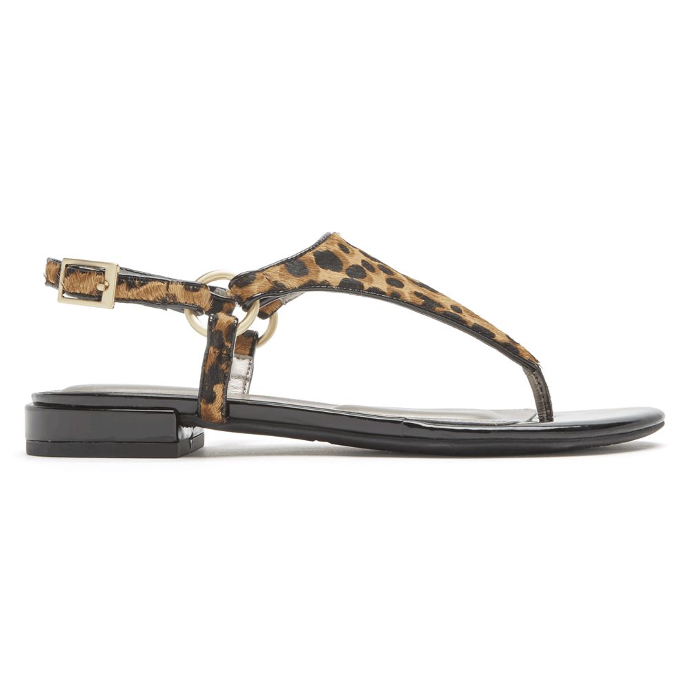 Rockport Women's Total Motion Zosia Thong Sandals - Brown - USA (3874NMBEA)